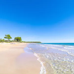 Palmeras Camping
